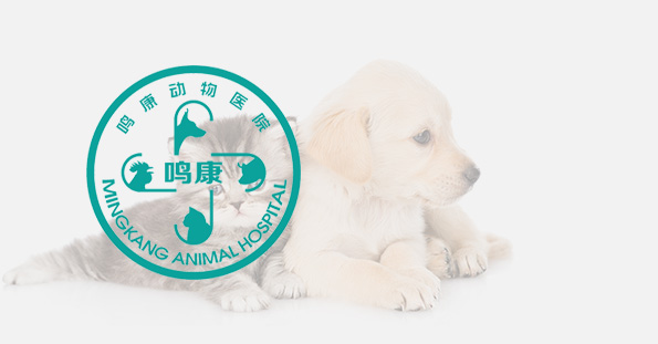 jiuyou.com(�й���)�ٷ���վ