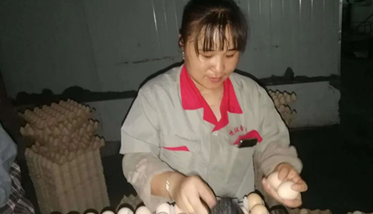 jiuyou.com�� jiuyou.com�¡���jiuyou.comũ���������յ��೤����