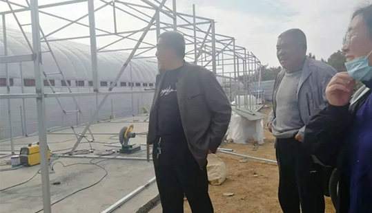 ��������Ч��˾��������