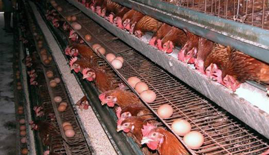 ����ͻ���������ͼ�Ⱥ��Ӧ��