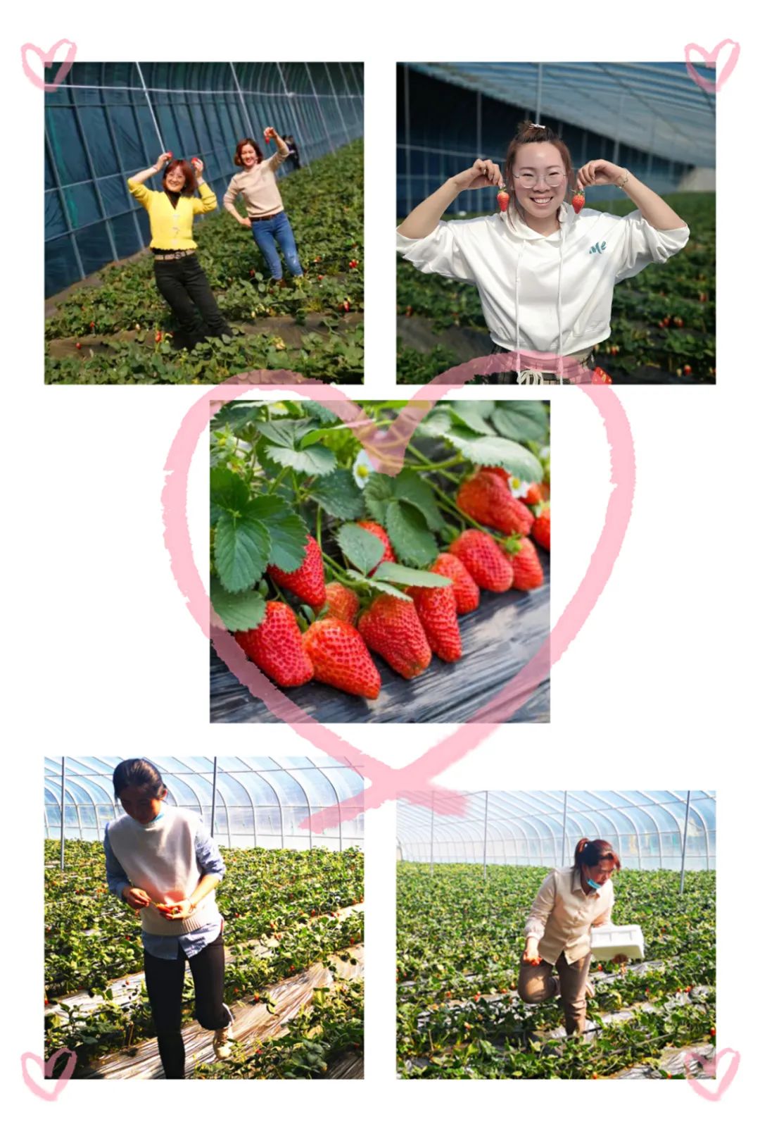 jiuyou.com(�й���)�ٷ���վ