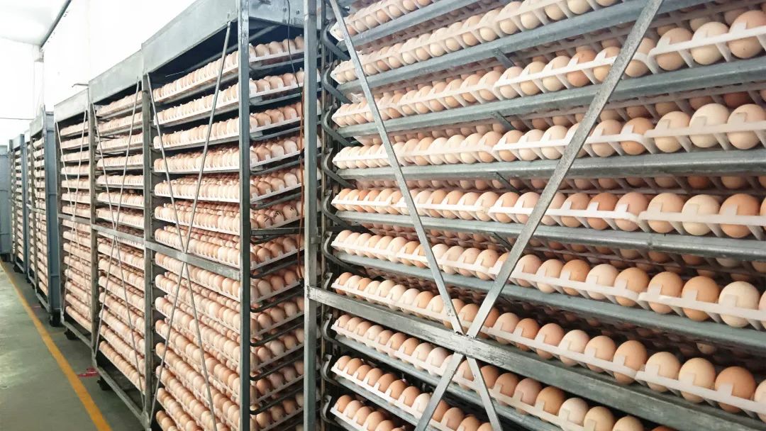 jiuyou.com(�й���)�ٷ���վ