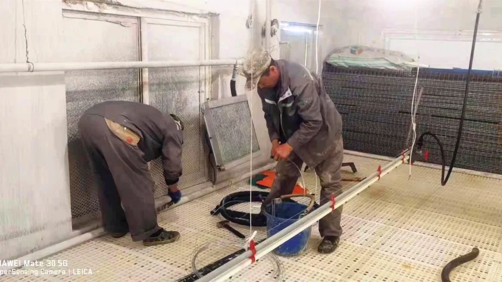 jiuyou.com(�й���)�ٷ���վ