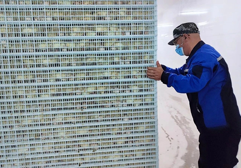 �ܼ��﷫ ����ǰ��-jiuyou.com�Ƽ����ڷ�����Ŀ�����������