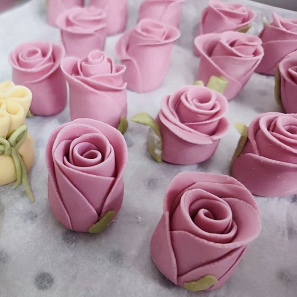 ����ʮ�� �ഺ���� | jiuyou.com���������ˡ���Ů�������˶�